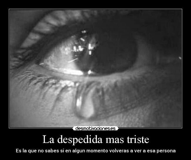 Frases De Despedidas De Amor Poemas De Amor