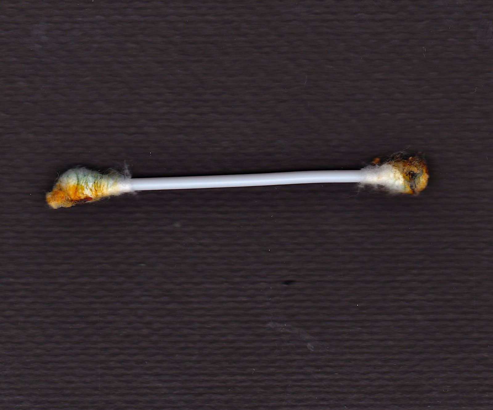 Daily Finds dirty qtip find