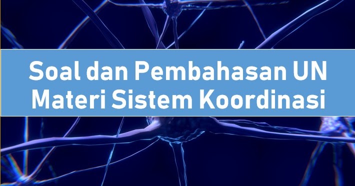Soal Dan Pembahasan Un Materi Sistem Koordinasi Saraf Indra Dan Hormon Bsb