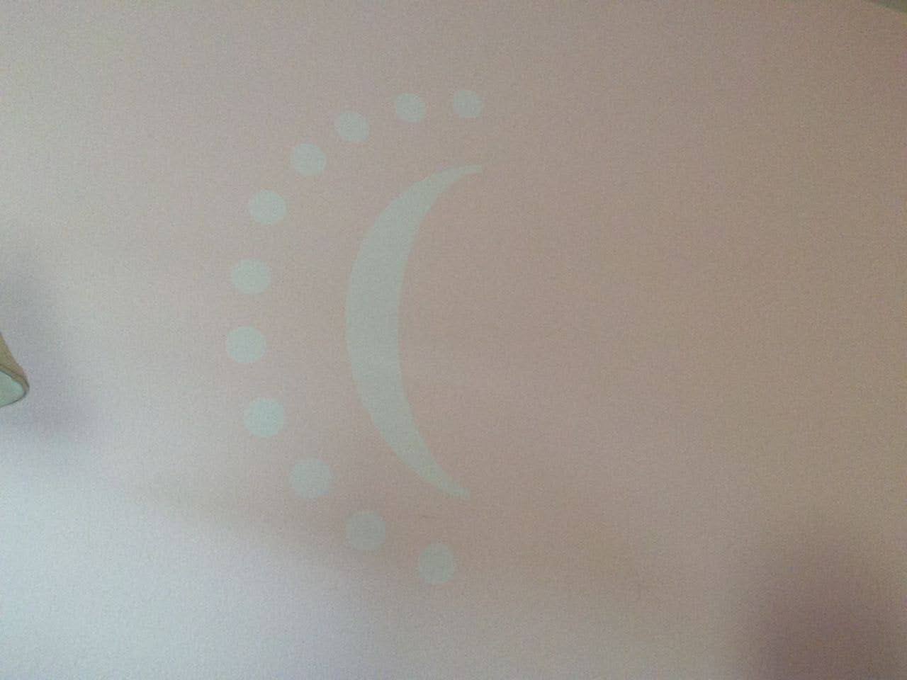 How to Hang a Large Vinyl Wall Decal (Silhouette Tutorial Part 2 of 2