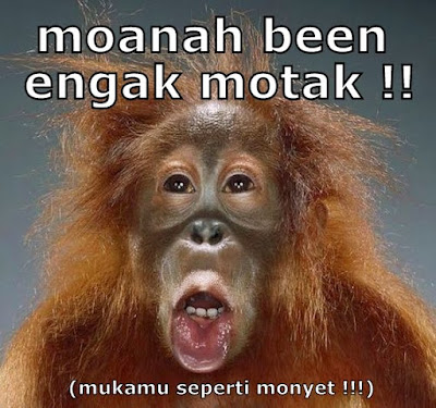 Gambar Lucu Menggunakan Bahasa Madura Ngawi Cyber Mencari Mengupdate Status
