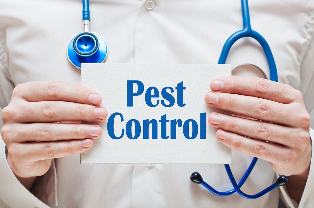 Doctor Who Pest Control Part 1
