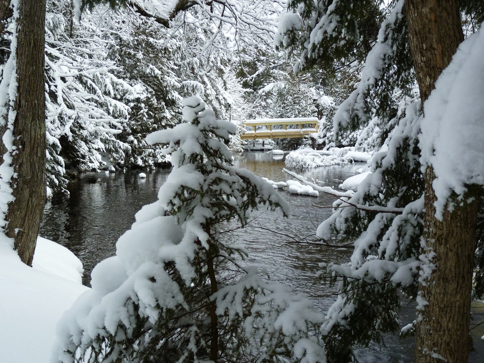 Rick's Travel Tales 2013Snowshoeing in Northern Wisconsin Day 2