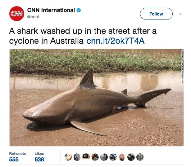 26 Shocking Photos Depict Hilarious Differences Between Britain And Australia 26 Shocking Photos Depict Hilarious Differences Between Britain And Australia