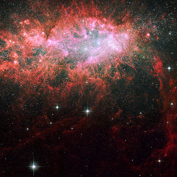 Hubble snaps the Starburst Dwarf Irregular Galaxy NGC 1569