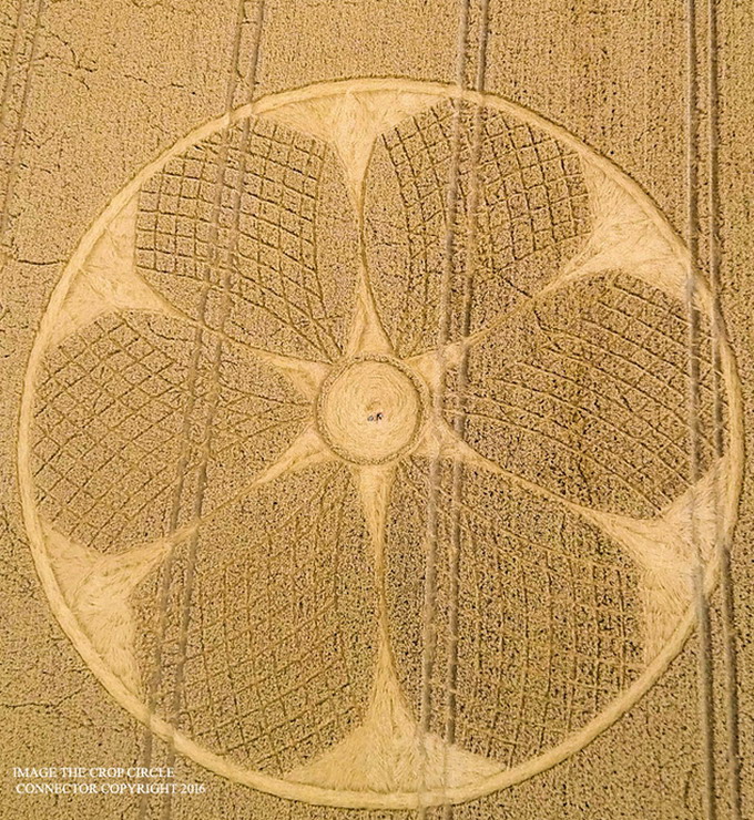 Crop circles 2016 Crop5agosto6