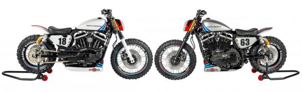 harley martini racing