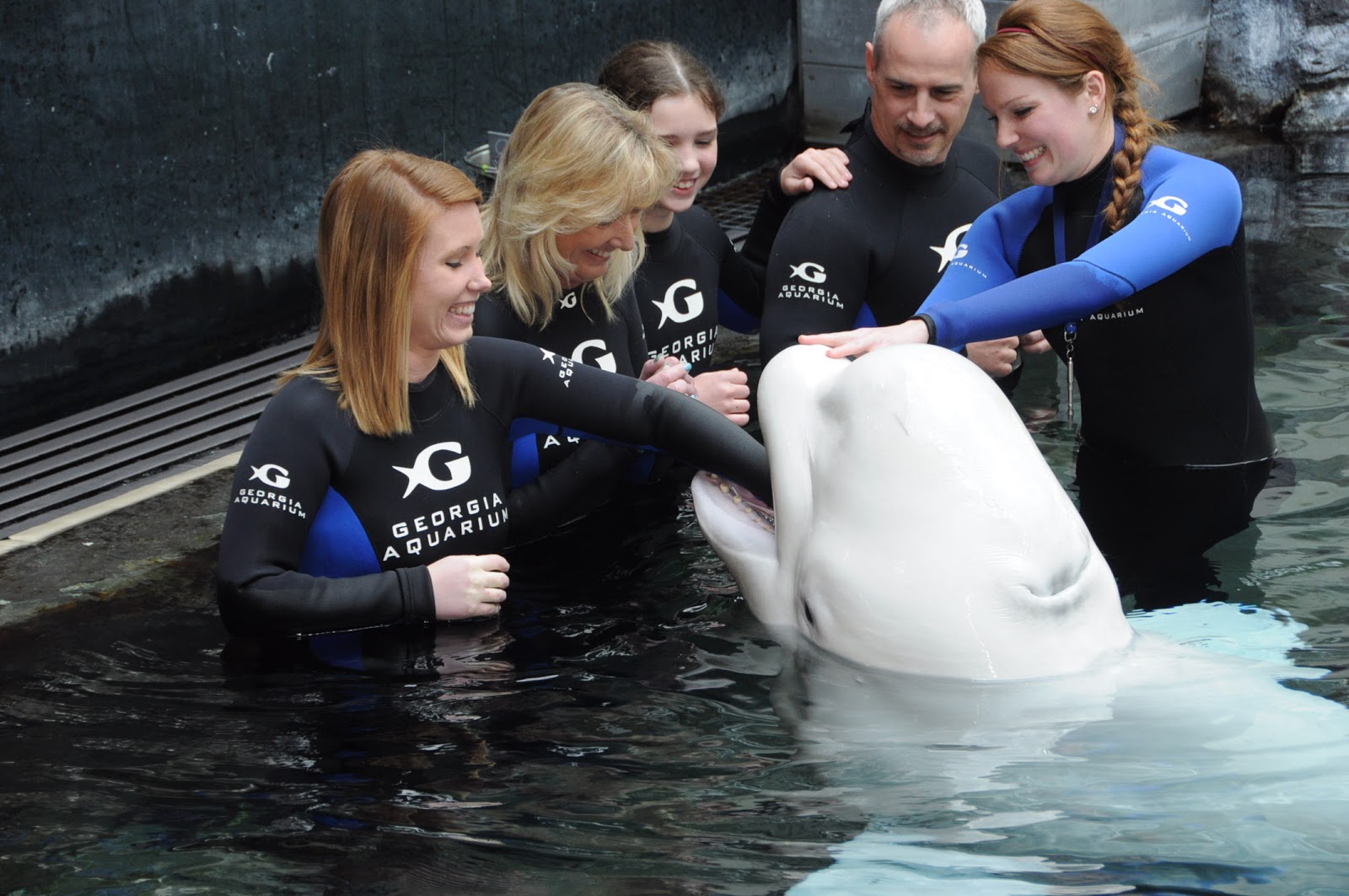 Aquarium Internship 28 Days Left!