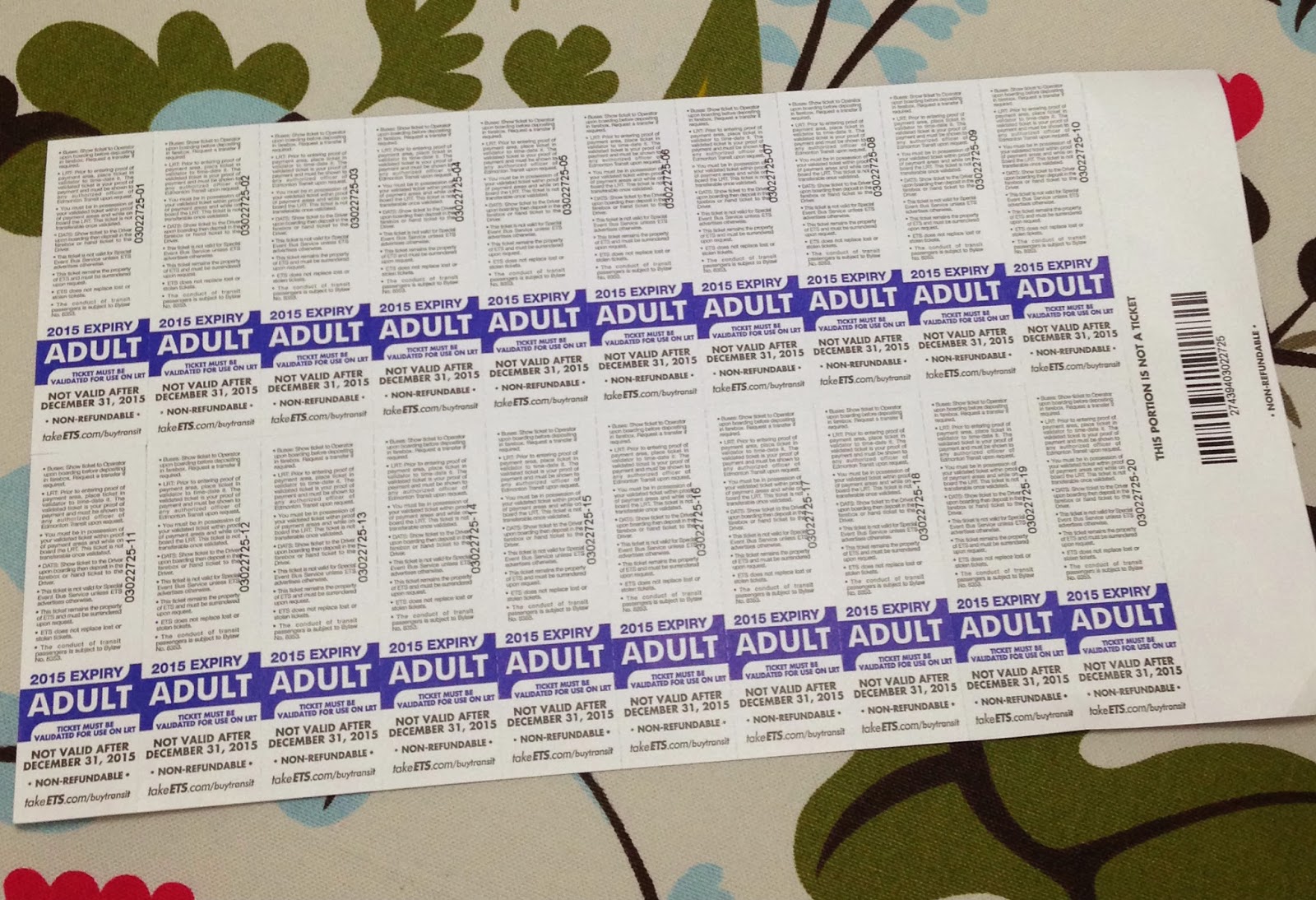 Mrs.CB in BC On Commuting and ETS Fare