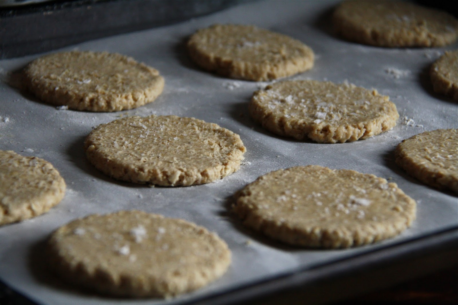 Salted Sugared Spiced English Oat Crackers salted-sugared-spiced-english-oat-crackers