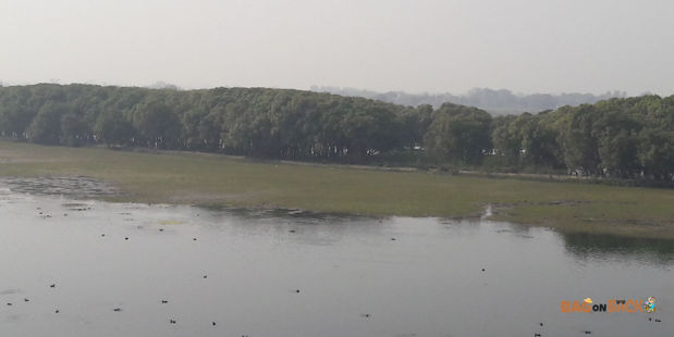 Shekha-Bird-Sanctuary-Aligarh Shekha-Bird-Sanctuary-Aligarh