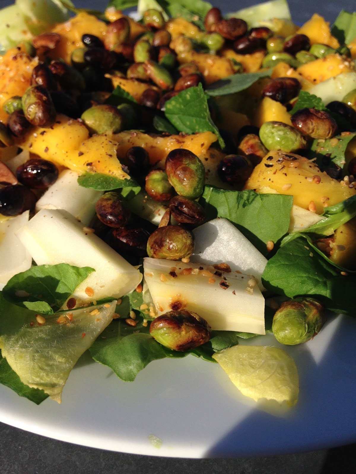 Sammelhamster: GERÖSTETE EDAMAME UMAMI