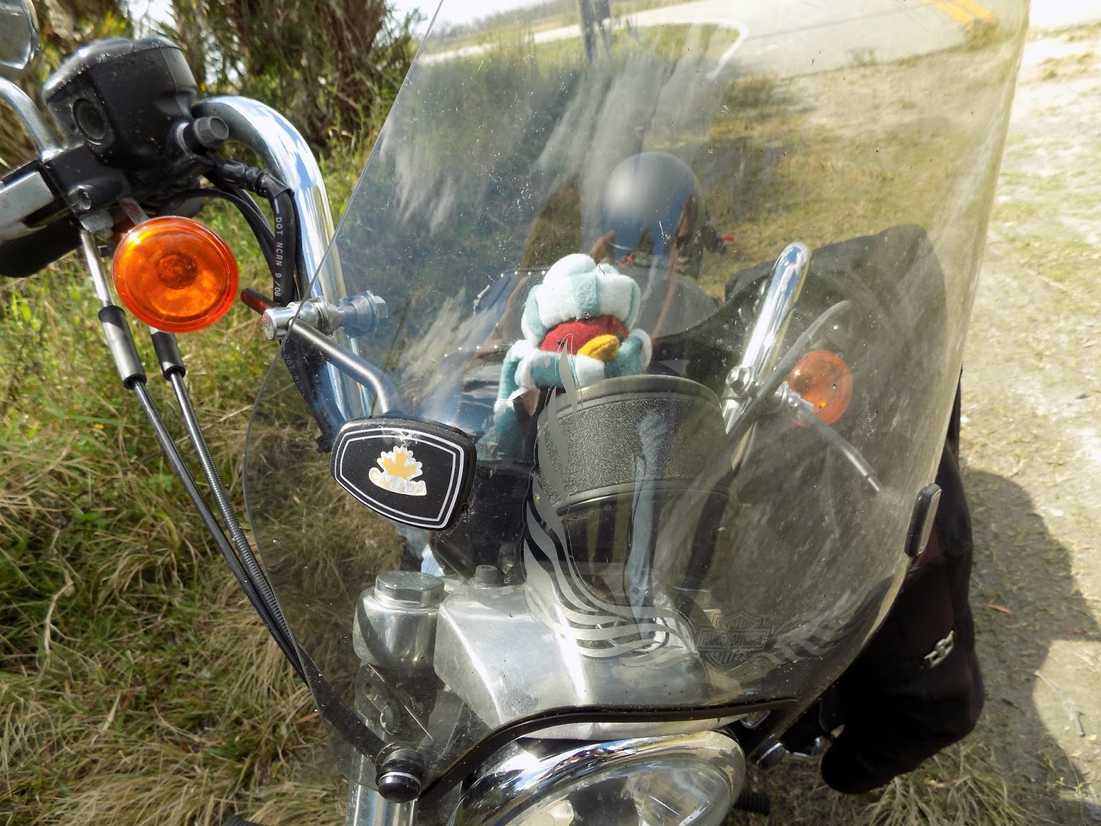 The Frozen Canuck Beating The Heat Through The Devils Garden