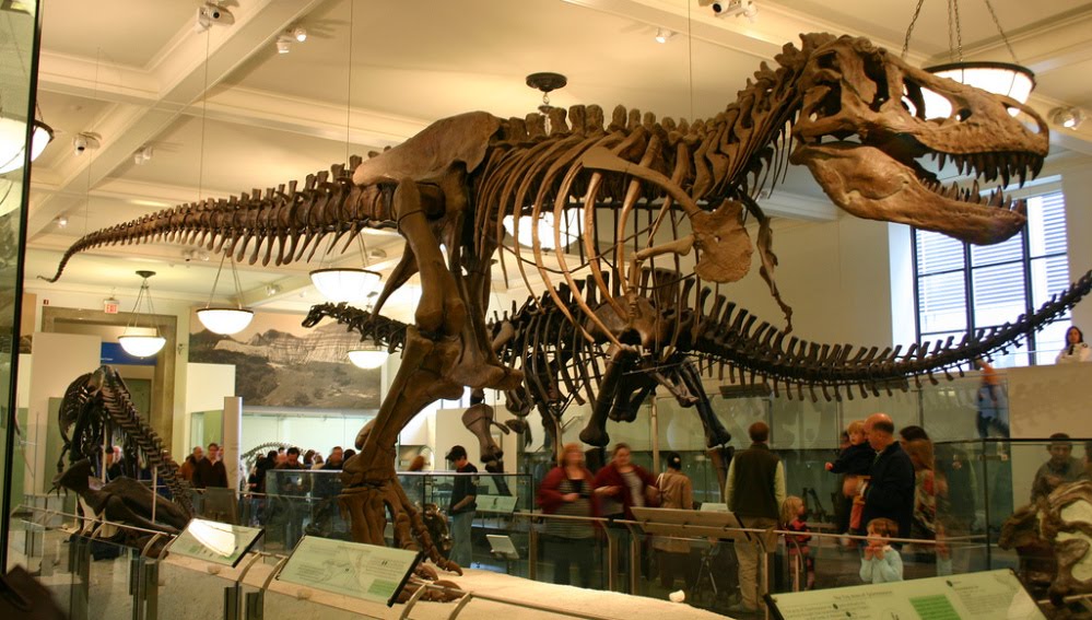 Museo Natural de Historia de New York
