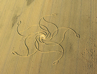 are crop circles real