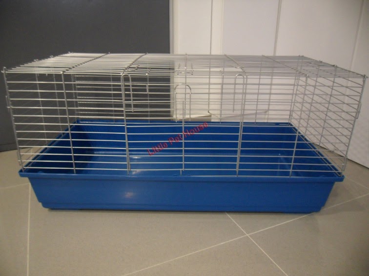 Little Pet House Your Budget Friendly Online Pet Shop in Singapore 1