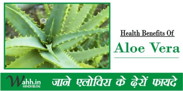 Health-Benefits-Aloe-Vera