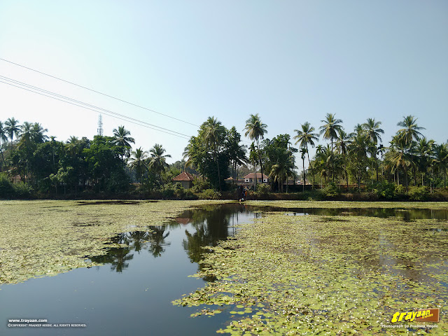 A view of the banks of Varanga lake and the other temples, as seen from the Lake Temple.