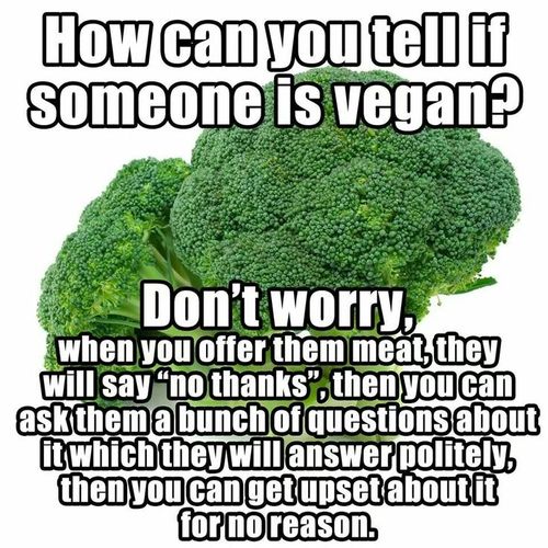 vegan puns