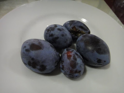 Turkish plums
