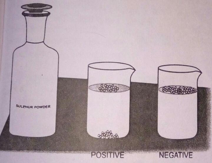 Test for bile salts ( Hay's test )