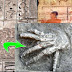 Encuentran 4 pozos llenos de manos gigantes cortadas en Egipto