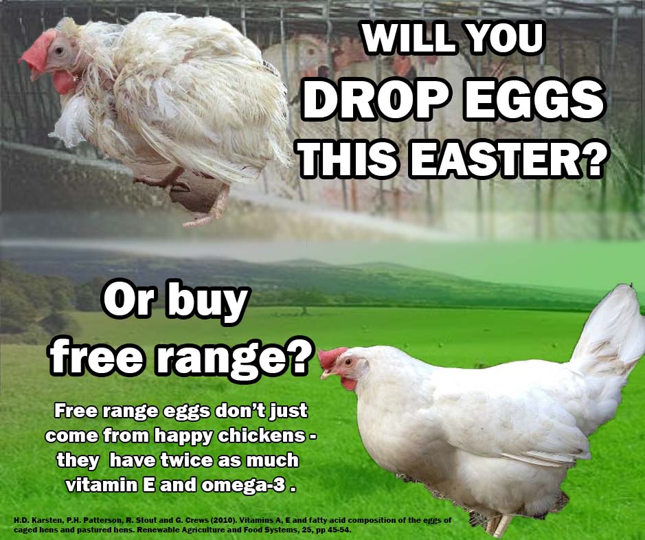 Persuasion And Influence Will You Drop Eggs This Easter