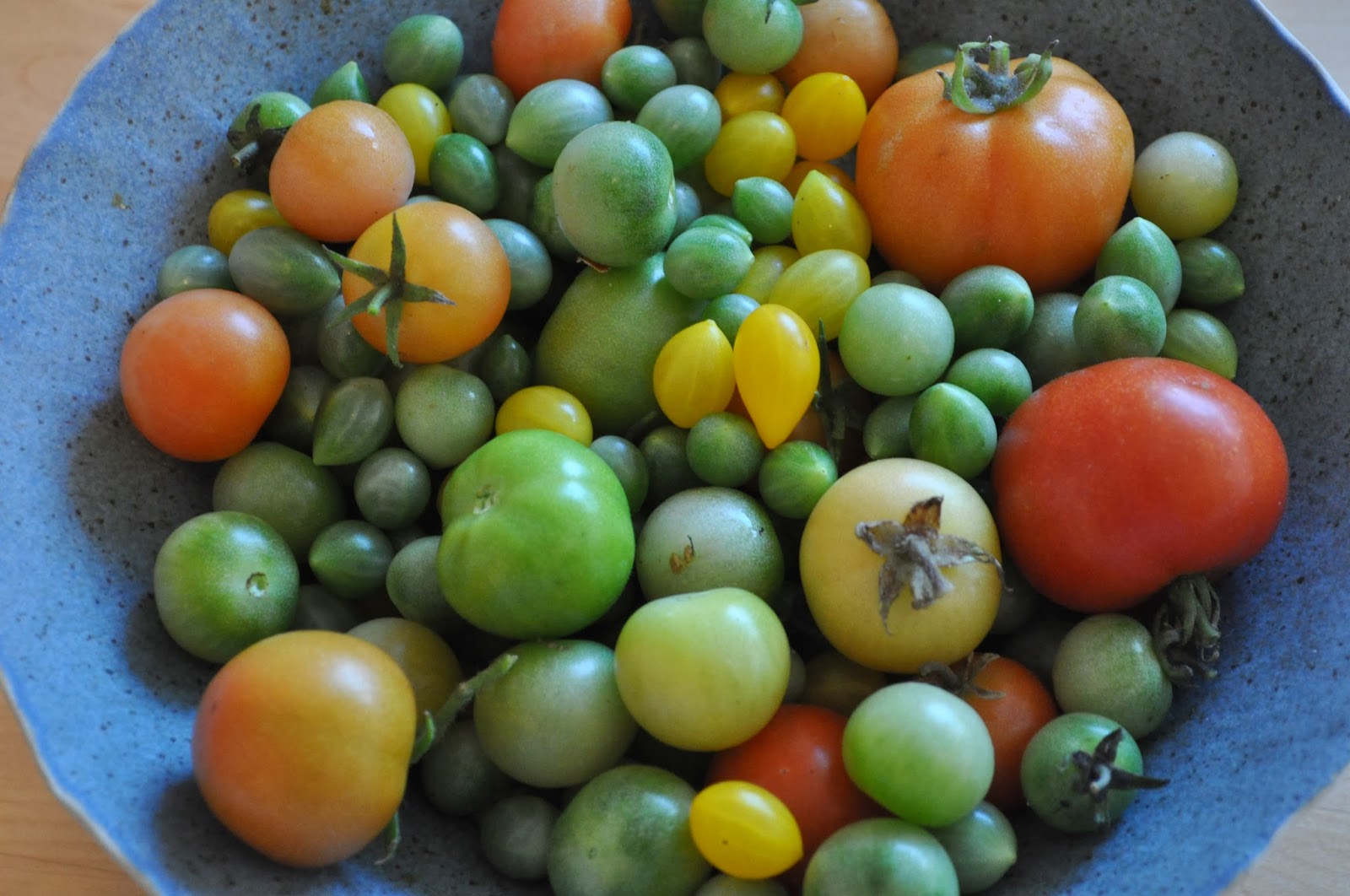 mein kleiner stadtgarten