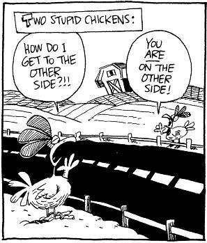 Across the Range: Chicken Humour