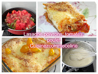 https://cuisinezcommeceline.blogspot.fr/2016/09/lasagne-poivrons-tomates-et-poulet.html