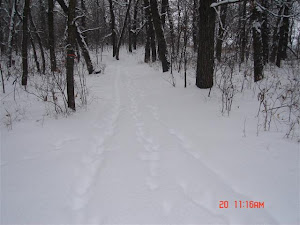 A Manitoba Winter Scene