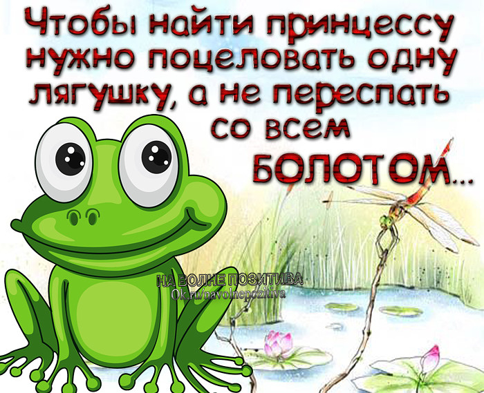 Смешные картинки с лягушками с надписями