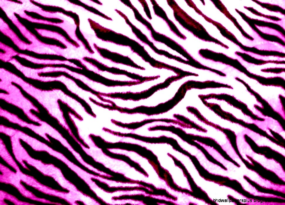Zebra Print Wallpaper 6841248