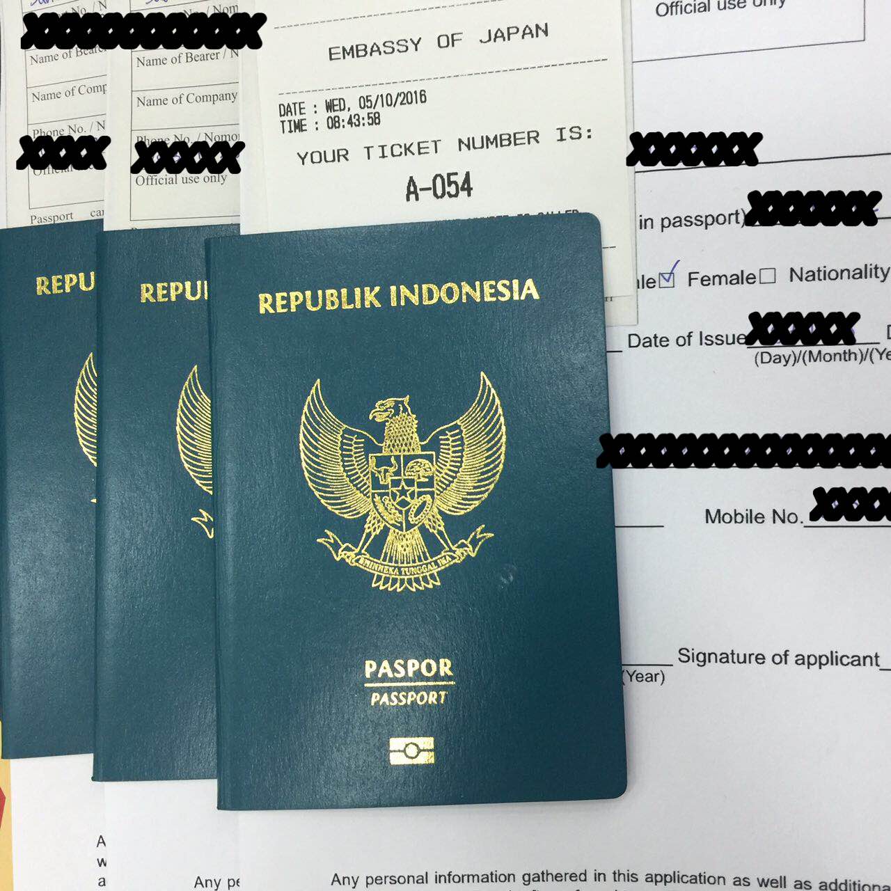 E passport. Сканировать паспорт. Passport э шрифт. Силендские паспорта.