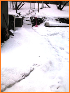 Snow covered trail