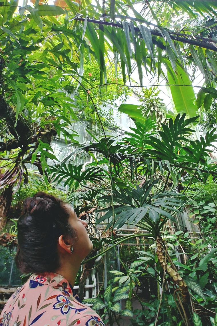 Szlafrok w tropikach