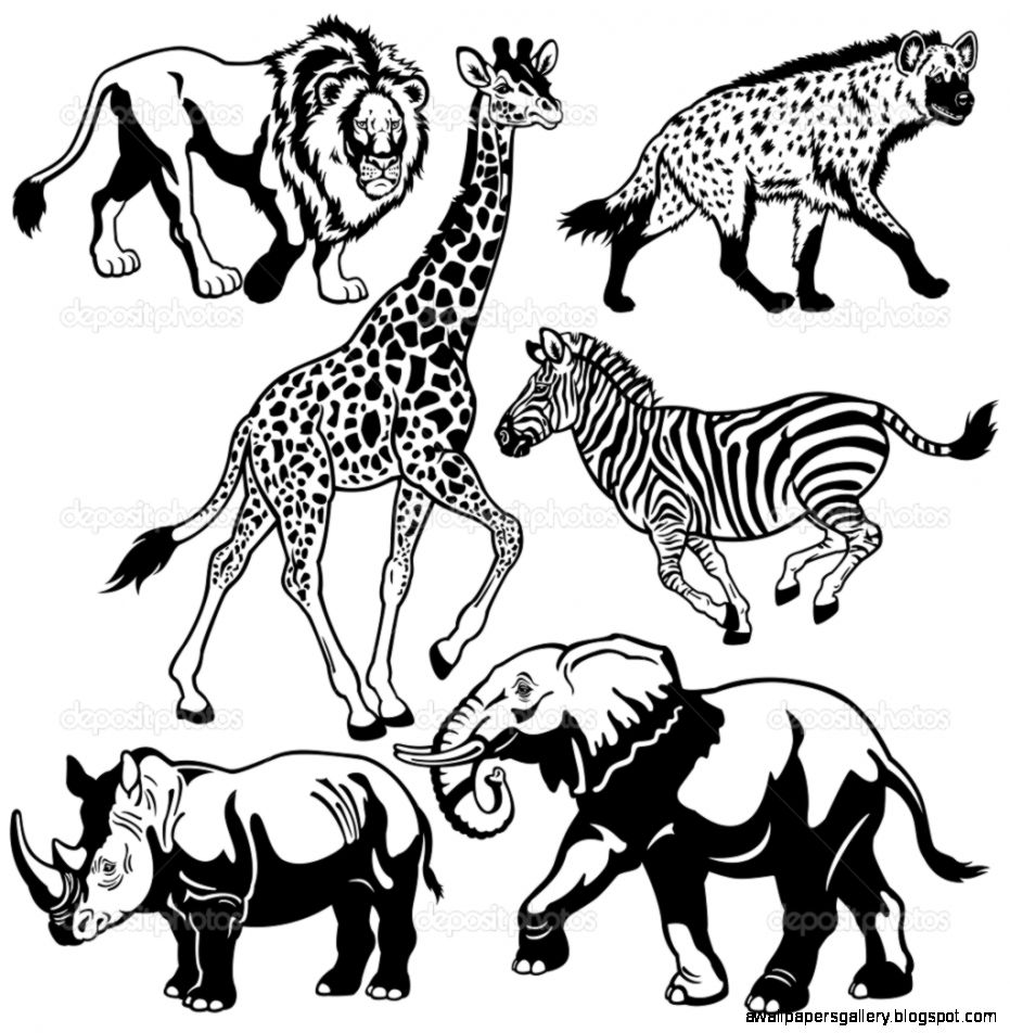 Set with africa animals black white — Stock Vector © insima 19830489