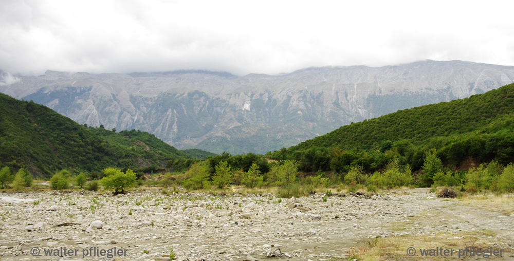 Nature photos from an Amateur Naturalist Fir of HotovaDangell