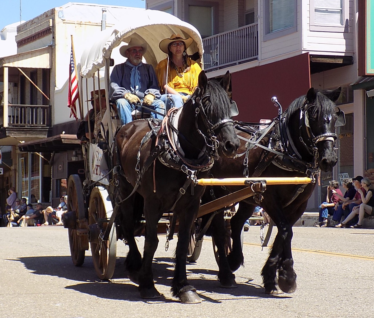 The American Cowboy Chronicles "Days of '49" Wagon Train Parade