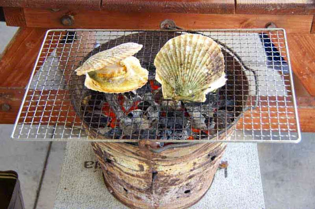 barbecue, clamshells