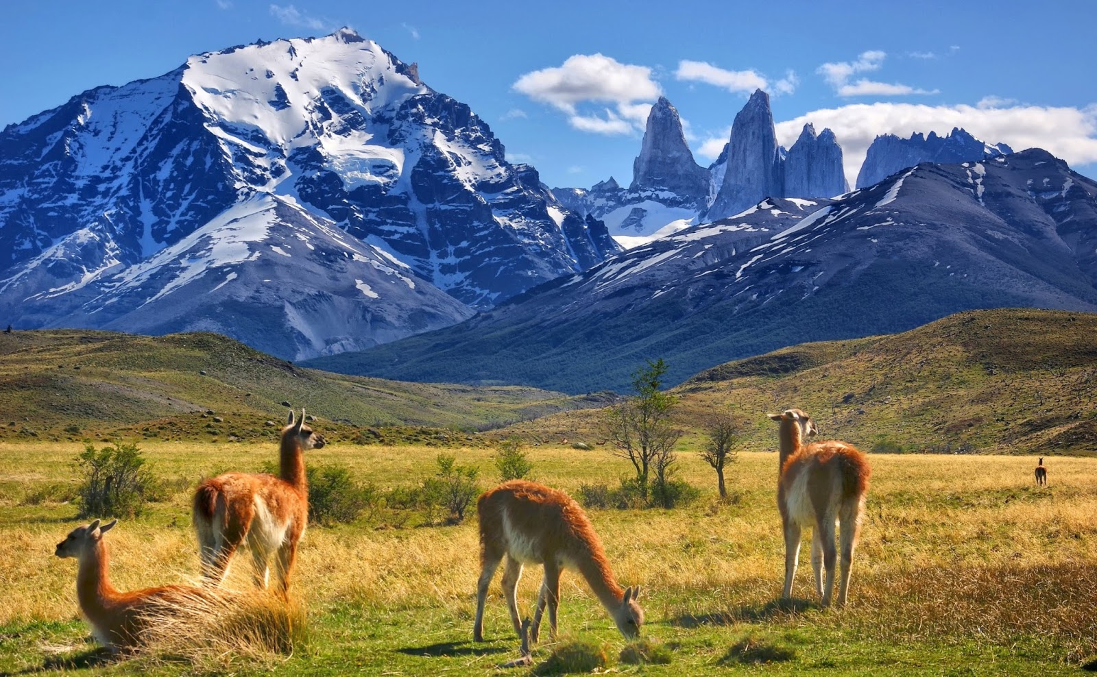 Chile Adventure Travel: A Thrilling Experience in South America