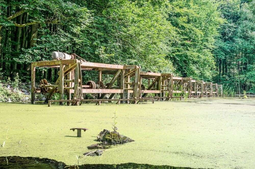 Vaughan Ontario Canada Canada S Wonderland Dragon Fire