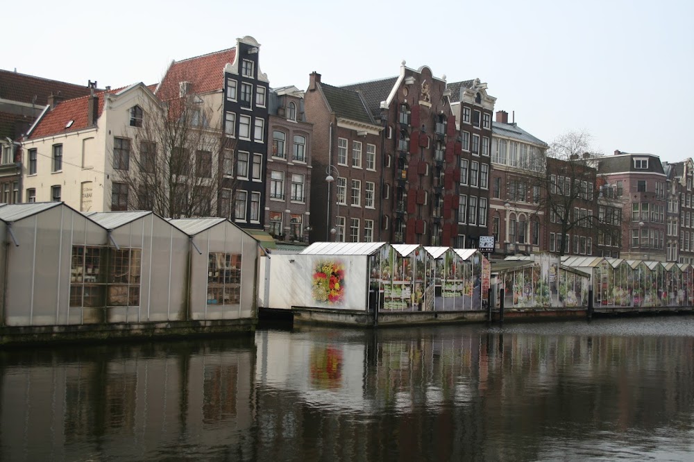 Amsterdam floating flower market