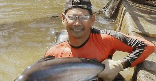 Cara Budidaya Ikan Patin Di Kolam Terpal Dan Tanah Bagi Pemula Hobinatang Cara Budidaya Ikan Patin Di Kolam Terpal Dan Tanah Bagi Pemula Hobinatang