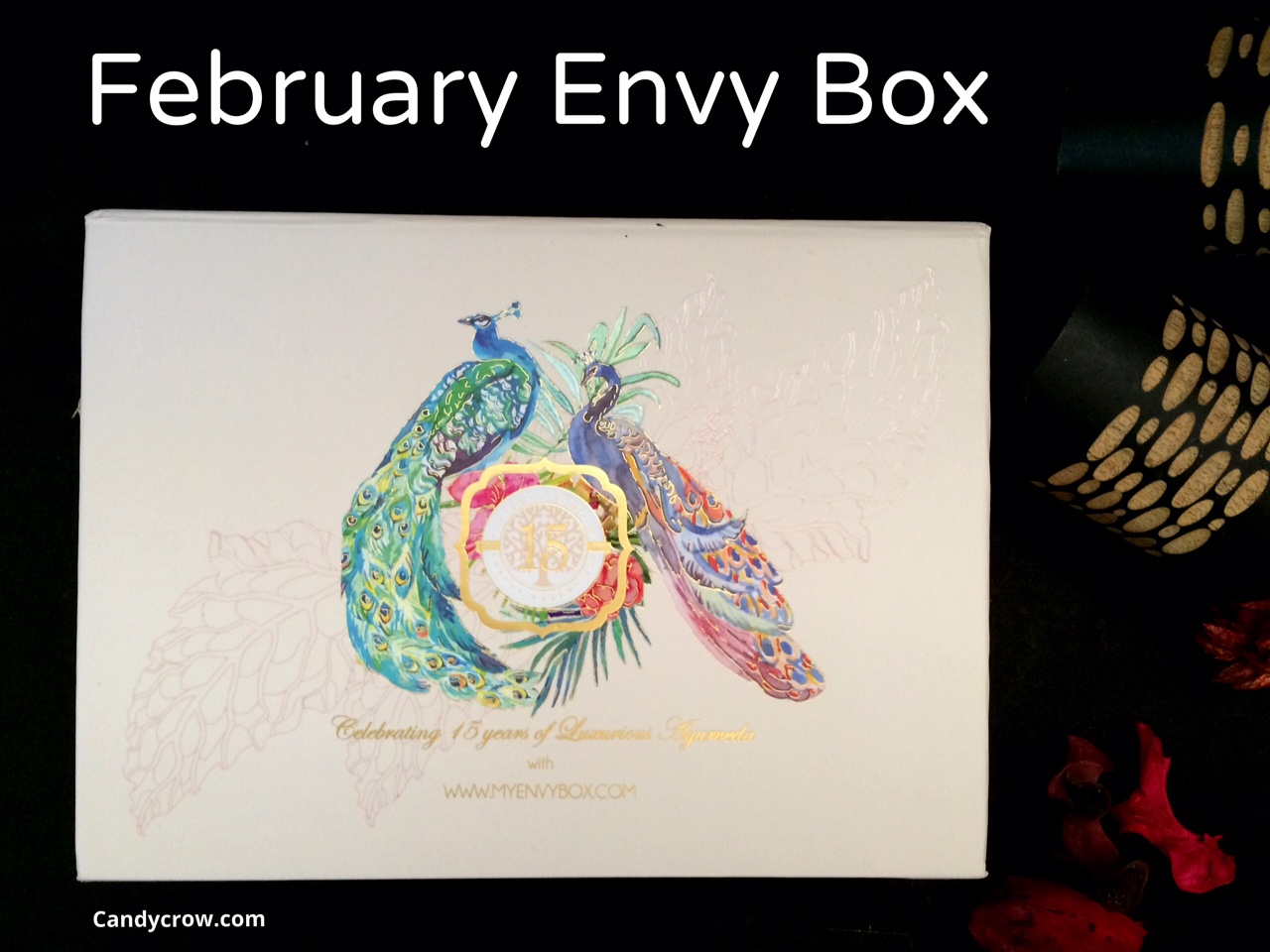 February 2016- My Envy Box Review