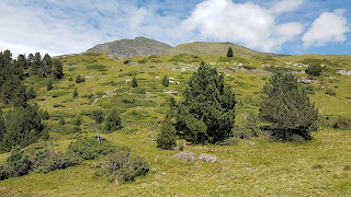 Tanto verde nei Pirenei