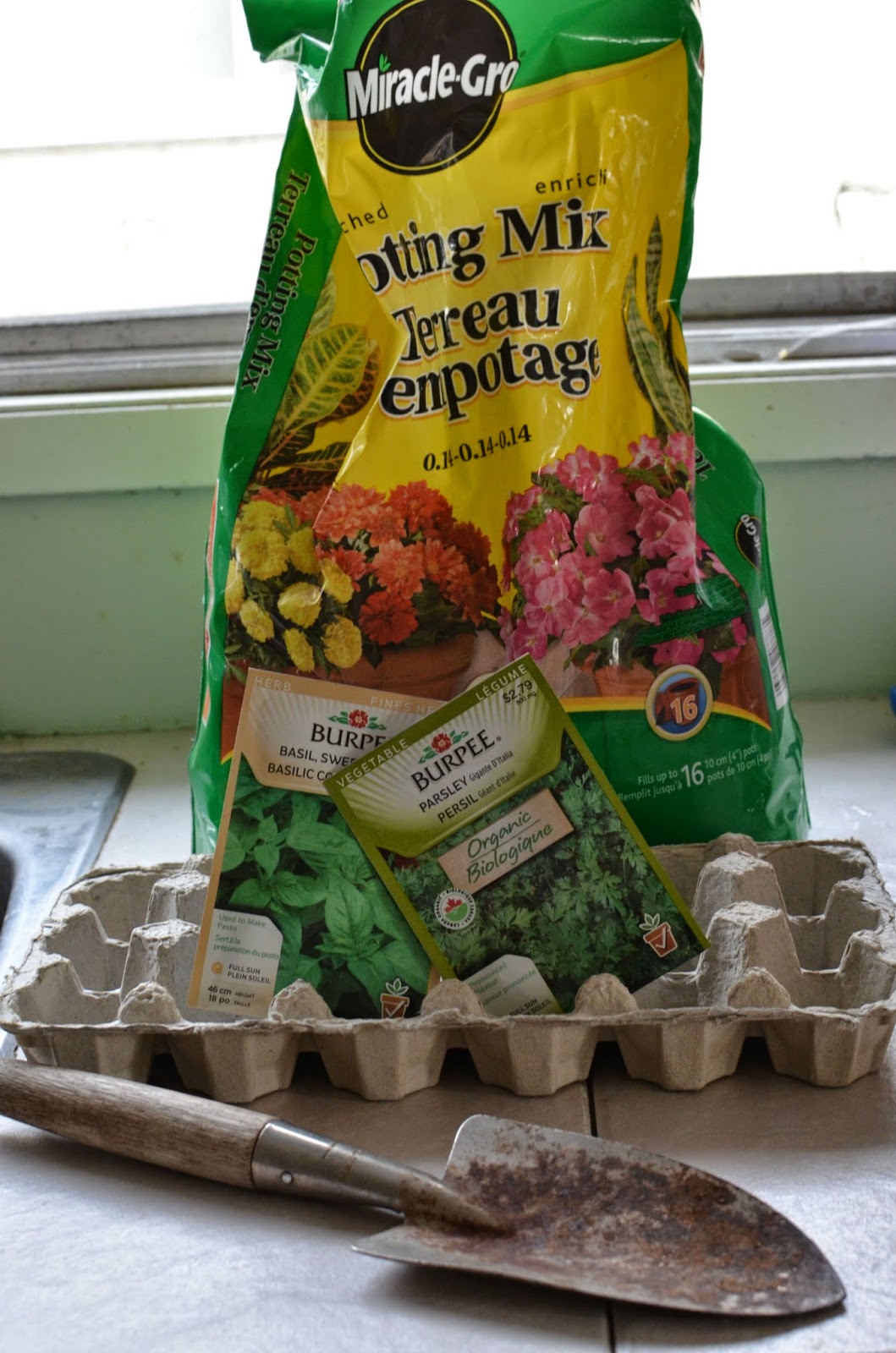 Mindful Musings Create Your Own Egg Carton Greenhouse