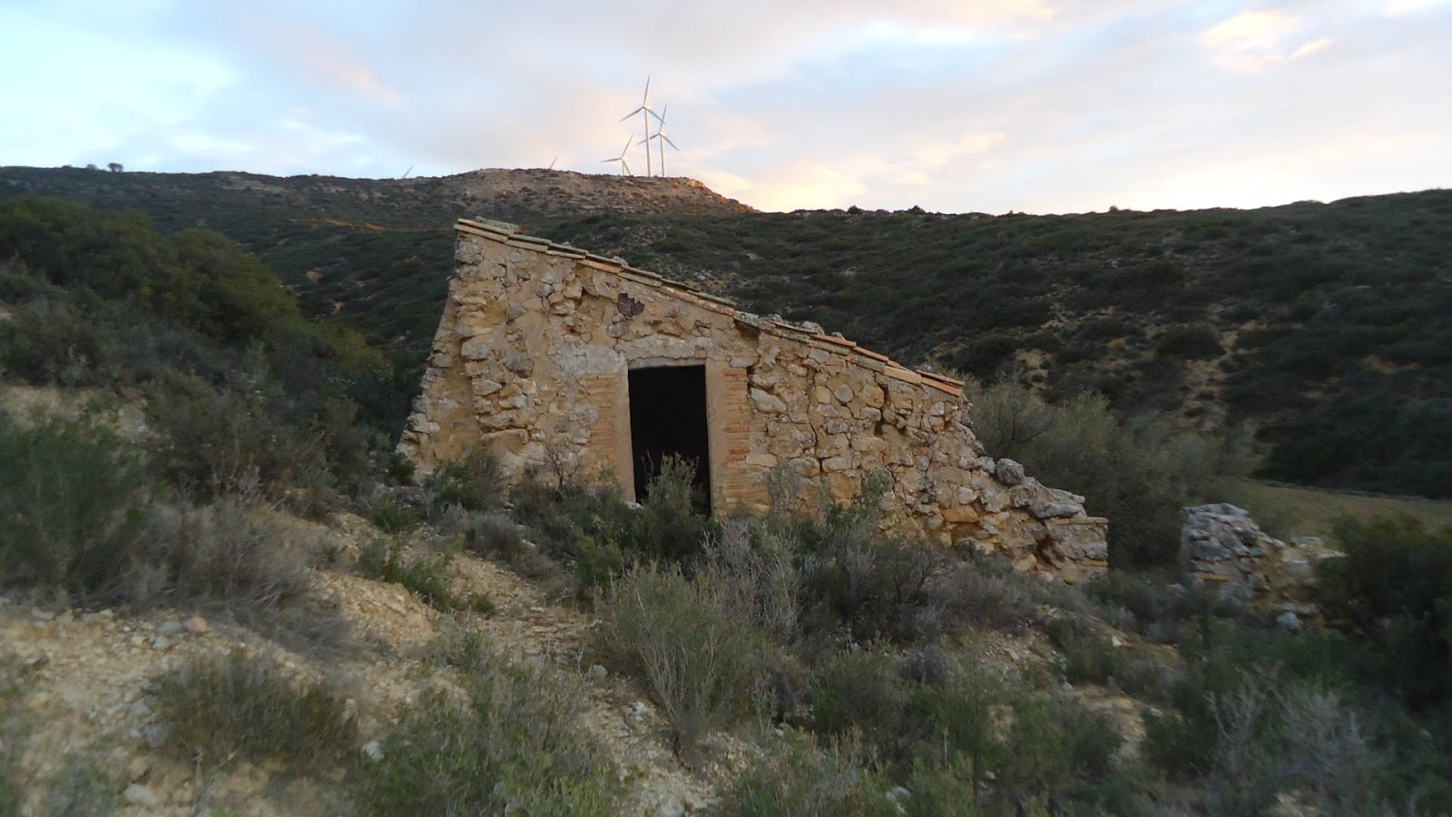 Centro de Estudios Borjanos: Dos abejares en el barranco del camino del