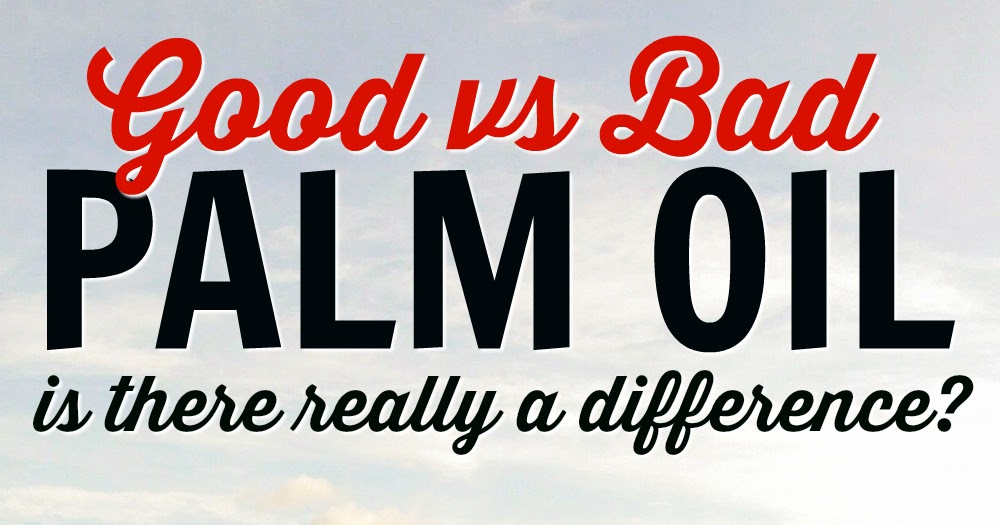 Southern In Law Good vs Bad Palm Oil Is There a Difference?