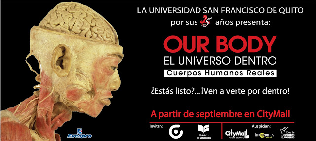 Exhibición "OUR BODY: El Universo Dentro - Cuerpos Humanos Reales" por 1era vez en Ecuador